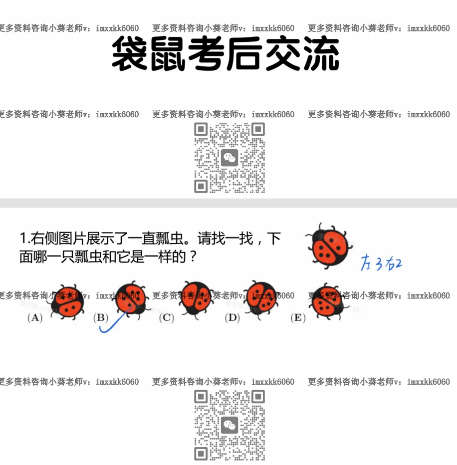 最新出炉!袋鼠数学LevelA&C真题+答案解析 第1张