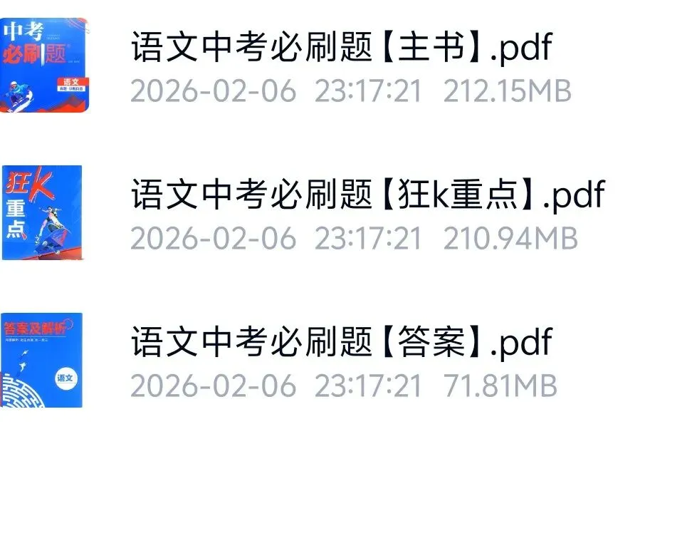 2026中考语数外政史地物化生九科中考必刷题pdf 第10张