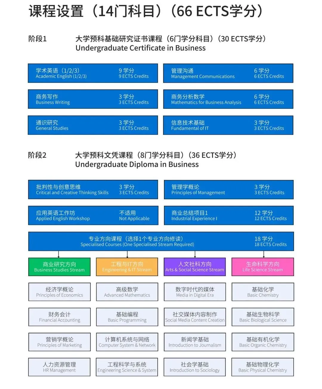 衡美中学特色课程中心|中考后升学新赛道,圆梦国际名校本科! 第13张
