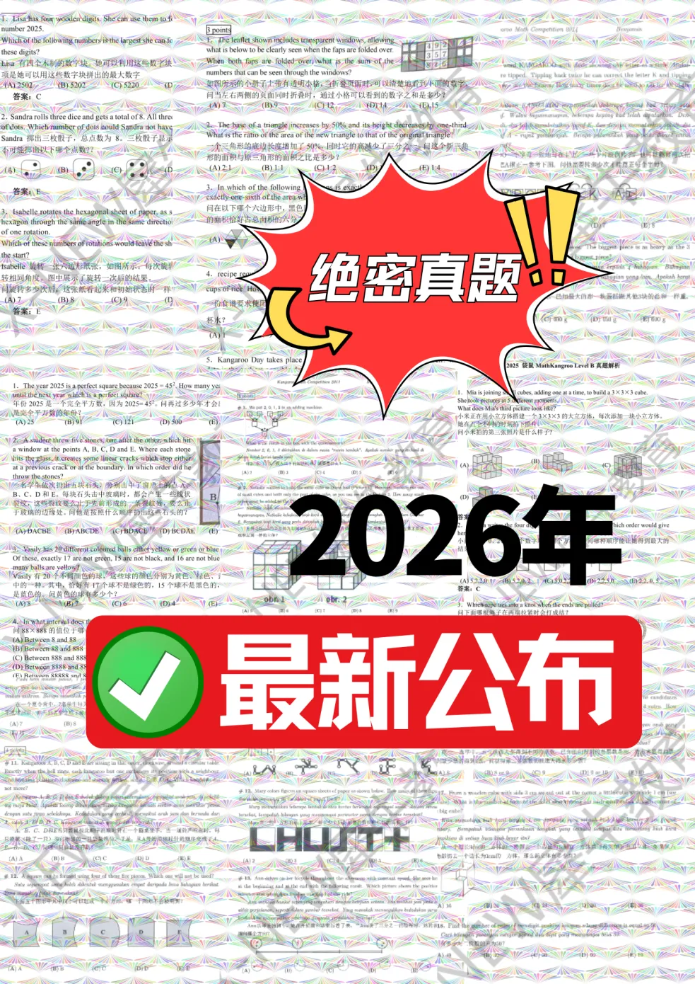 【预热袋鼠2026年真题+公开课解析!】考后速发!分享袋鼠历年全级覆盖,免费领取! 第10张