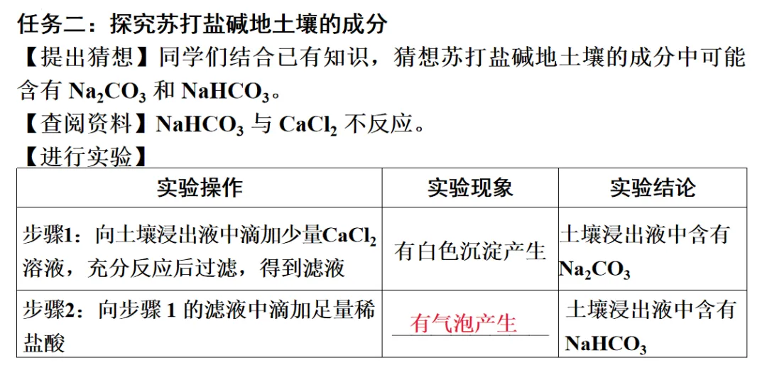 2026年中考化学一轮复习专题八科学探究-第16张图片-四季读书网