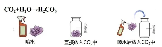 中考化学专题突破——无明显现象反应的探究 第3张