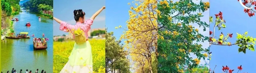 多地中考改革,调整开卷闭卷科目!福建一地回应→ 第8张