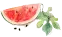 重医 777 真题回忆等资料,已更新至2026年! 第5张