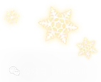 中考英语写作 3 观点扩展-第10张图片-四季读书网