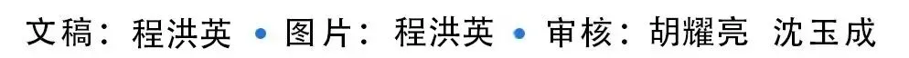 【冲刺中考】厉兵秣马战体测 文通学子展锋芒 第37张 【冲刺中考】厉兵秣马战体测 文通学子展锋芒 第37张