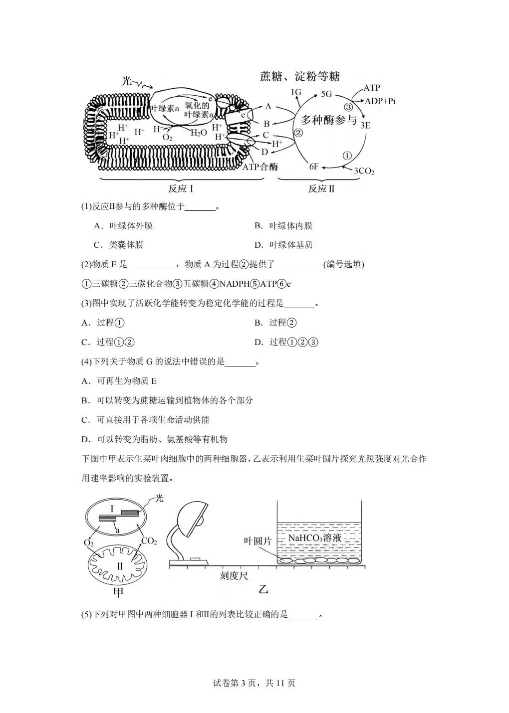 《试卷分享》高二合格考-第3张图片-四季读书网