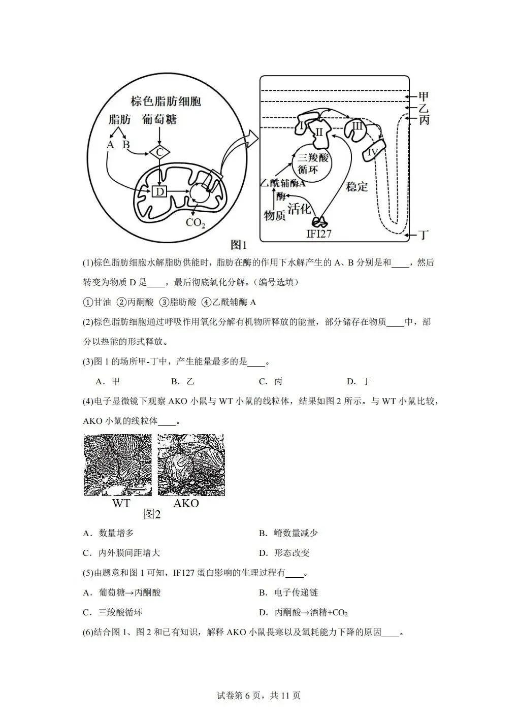 《试卷分享》高二合格考-第6张图片-四季读书网