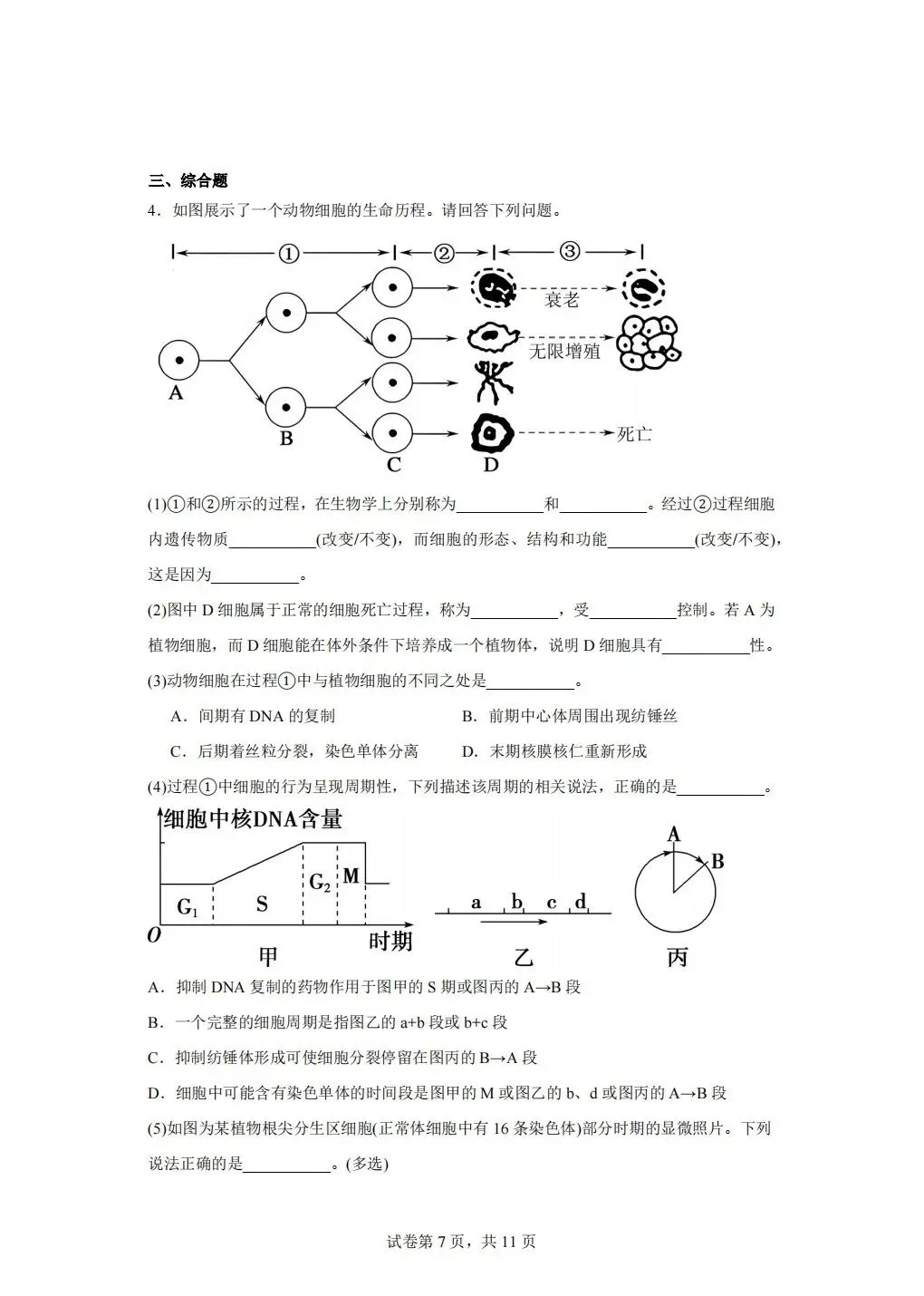《试卷分享》高二合格考-第7张图片-四季读书网