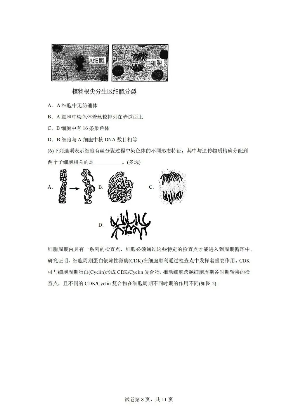 《试卷分享》高二合格考-第8张图片-四季读书网