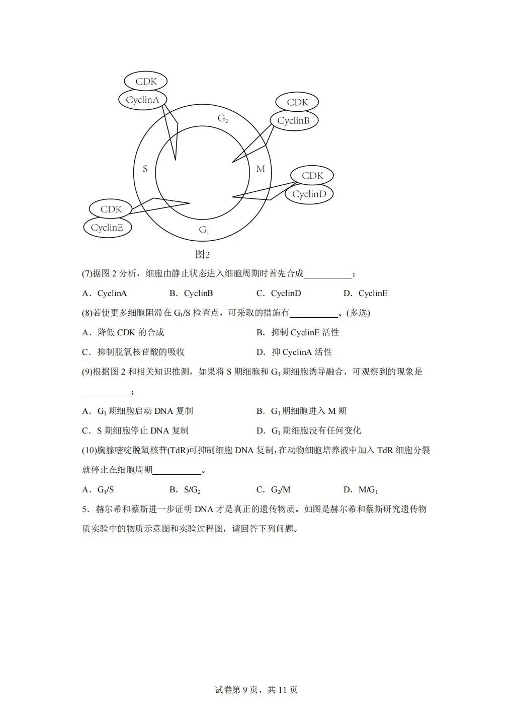 《试卷分享》高二合格考-第9张图片-四季读书网