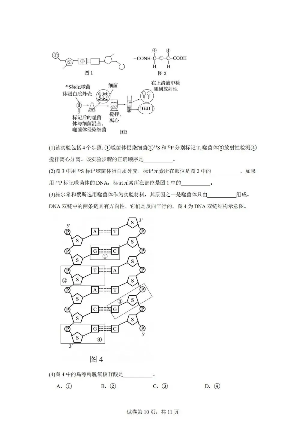 《试卷分享》高二合格考-第10张图片-四季读书网