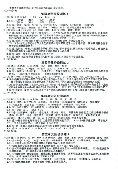 上海5下语文:教材同步金试卷(含答案+解析) 第14张