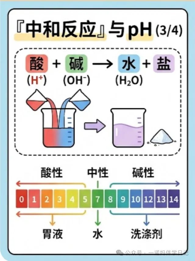 中考化学丢分王:酸碱盐!一张图吃透不丢分 第3张 中考化学丢分王:酸碱盐!一张图吃透不丢分 第3张