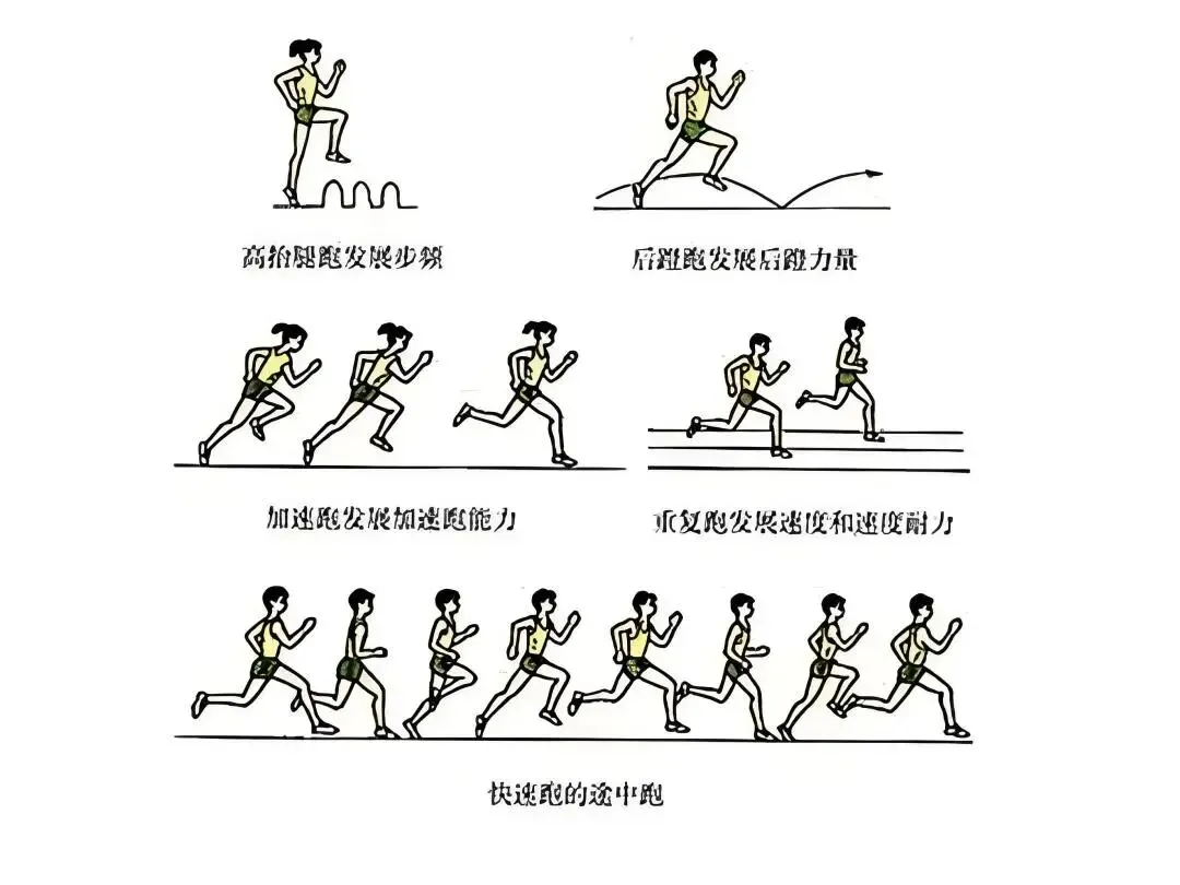 星政策|天气转暖,体测将至:这份中考体育备考指南请收好 第11张
