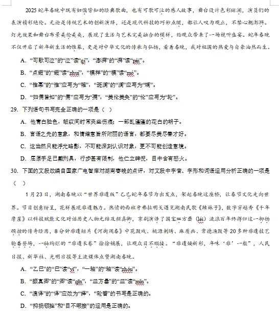 2026中考语文重点专项训练,打印一份给孩子,考试轻松冲刺110+! 第8张