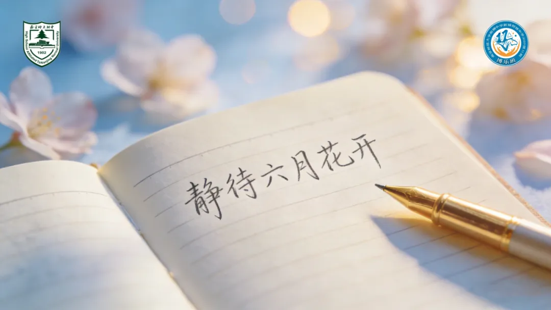 青春赴韶华,拼搏赴中考 第16张