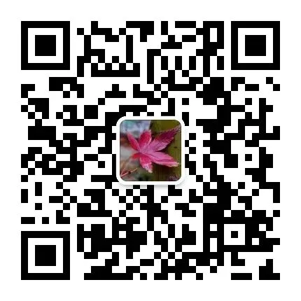 2025年4月26日河南省公务员面试真题解析 第6张