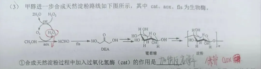 高三金丽衢化学试卷部分分析(2)(回忆版) 第7张