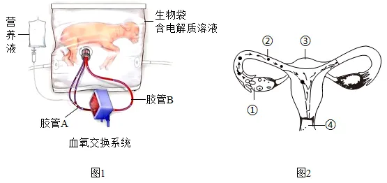 2026年生物中考七下中考复习重点曝光,从真题分析看核心考向(含解析) 第4张