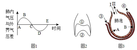 2026年生物中考七下中考复习重点曝光,从真题分析看核心考向(含解析) 第5张