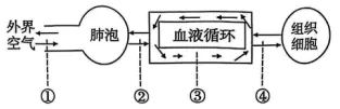 2026年生物中考七下中考复习重点曝光,从真题分析看核心考向(含解析) 第9张
