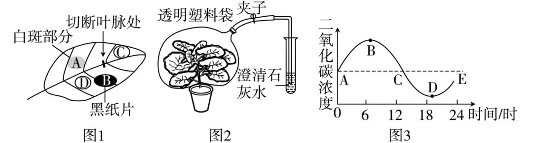 2026年生物中考七下中考复习重点曝光,从真题分析看核心考向(含解析) 第14张