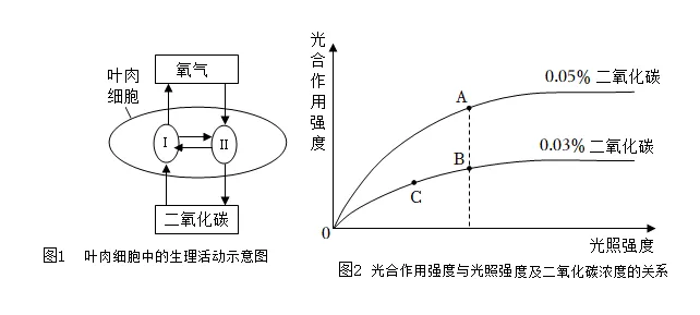 2026年生物中考七下中考复习重点曝光,从真题分析看核心考向(含解析) 第17张