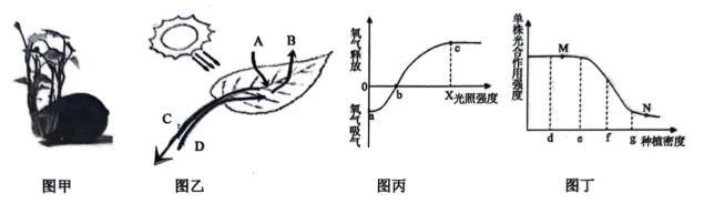 2026年生物中考七下中考复习重点曝光,从真题分析看核心考向(含解析) 第18张