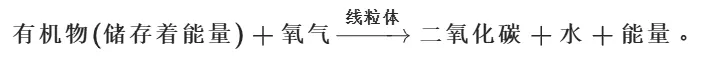 2026年生物中考七下中考复习重点曝光,从真题分析看核心考向(含解析) 第21张