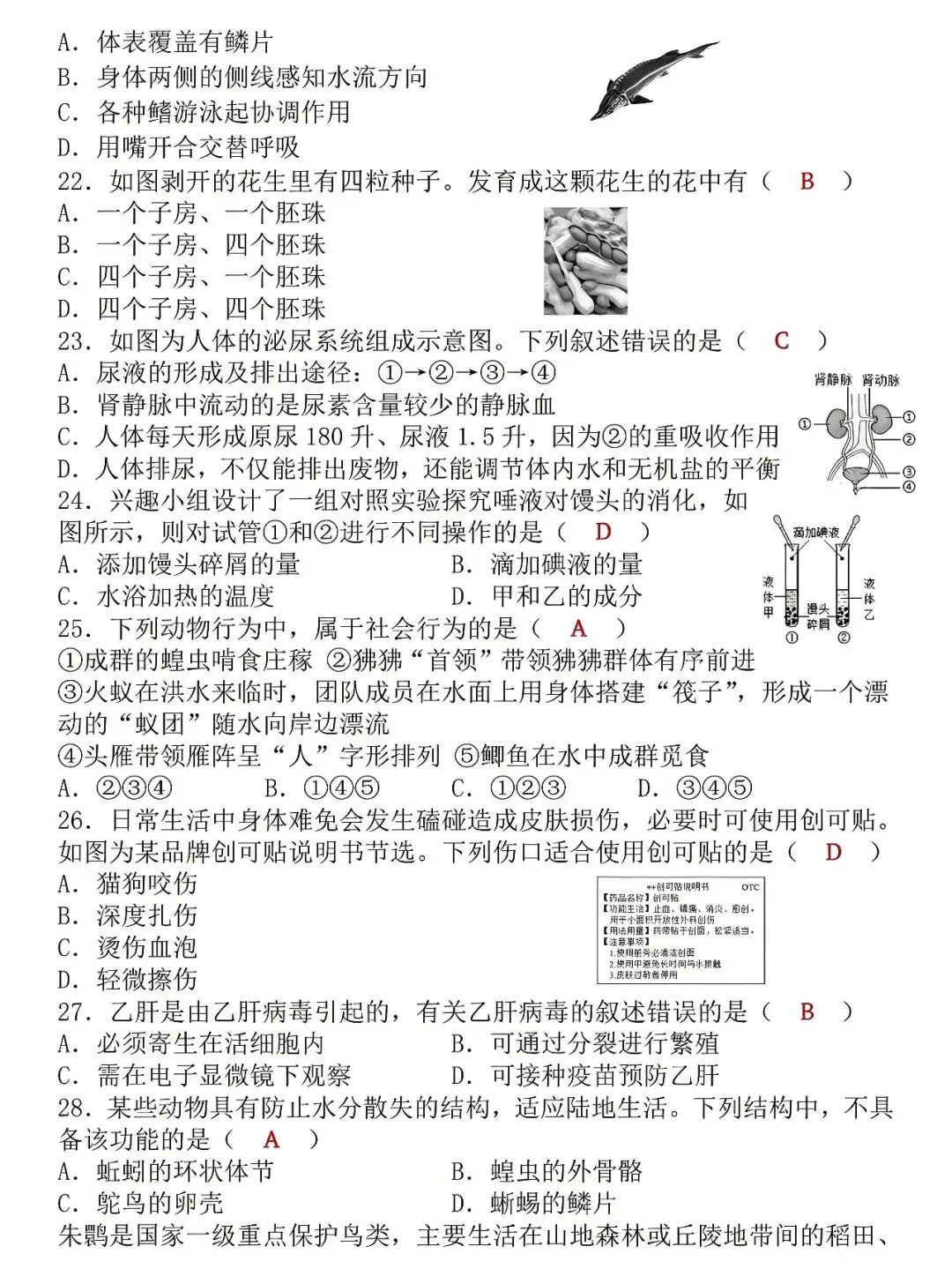 八年级下册生物:学业水平检测模拟试卷(答案版),吃透了才能少丢分! 第5张