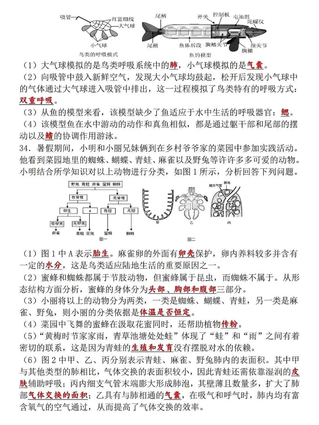 八年级下册生物:学业水平检测模拟试卷(答案版),吃透了才能少丢分! 第8张