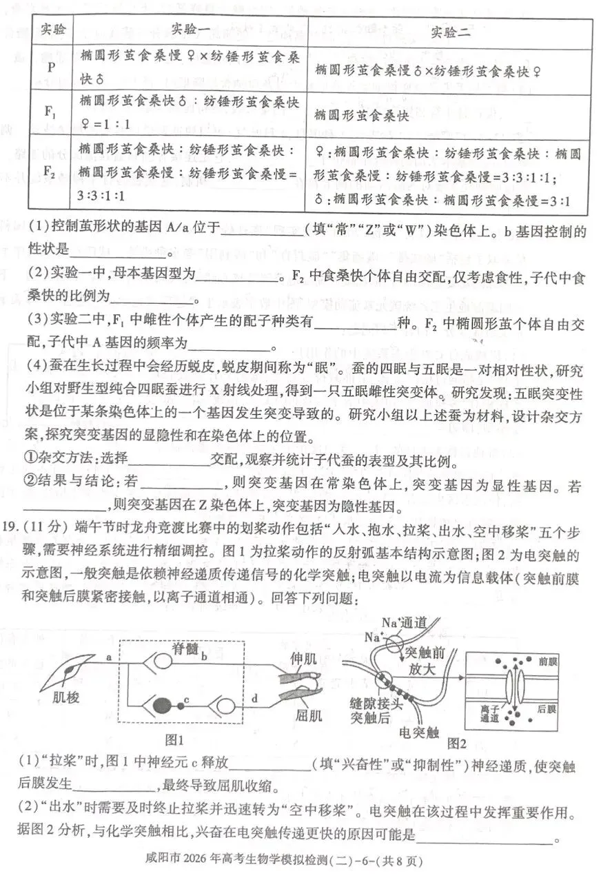 陕西咸阳市2026年高考模拟测试(二)生物学试题及解析(附word下载) ⊙ 第12张
