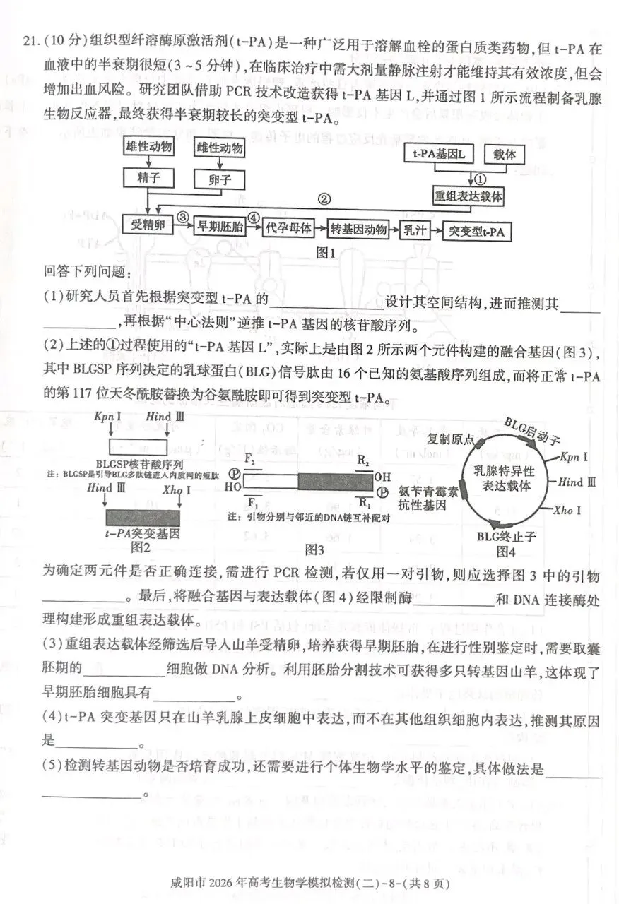 陕西咸阳市2026年高考模拟测试(二)生物学试题及解析(附word下载) ⊙ 第14张