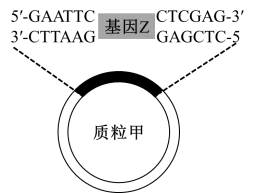 高考真题 | 每日一题(233) 第2张 高考真题 | 每日一题(233) 第2张