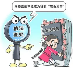 中考复习:主题四 法治教育(综合检测)(解析版) 第6张