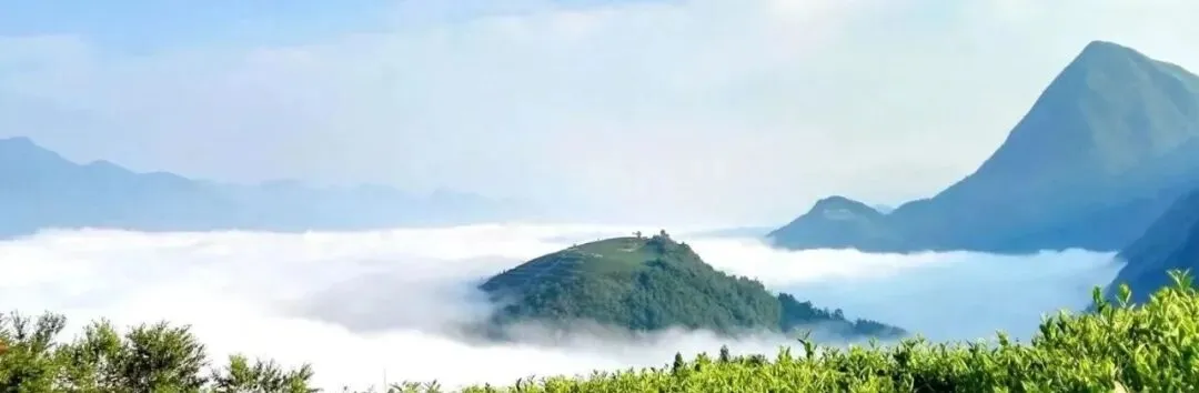 中考英语语法填空15个黄金口诀,轻松拿满分的秘密! 第4张 中考英语语法填空15个黄金口诀,轻松拿满分的秘密! 第4张