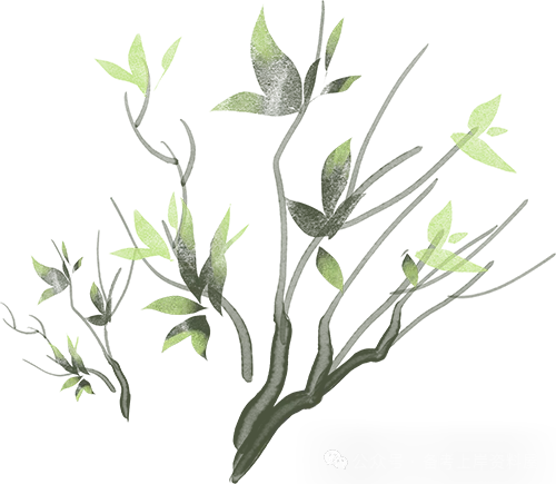 26青海教招丨历年真题+考前押题+提分速记资料包(针对4.18青海教招) 第8张 26青海教招丨历年真题+考前押题+提分速记资料包(针对4.18青海教招) 第8张