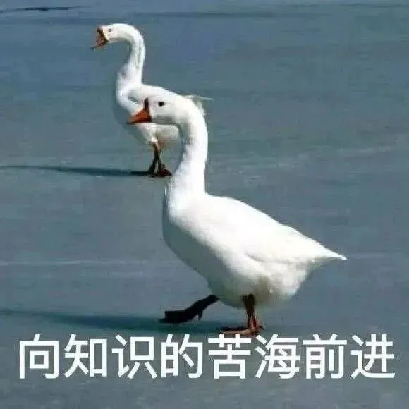 免费领取考博真题130题,从题目出发明确备考方向!-第2张图片-四季读书网