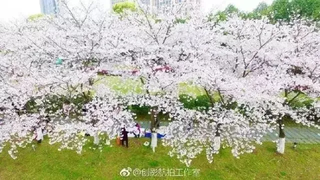 2017金华＂乡愁试卷＂出炉!测测你的乡愁指数是多少? 第29张