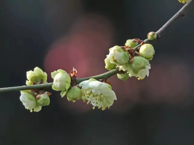 2017金华＂乡愁试卷＂出炉!测测你的乡愁指数是多少? 第35张