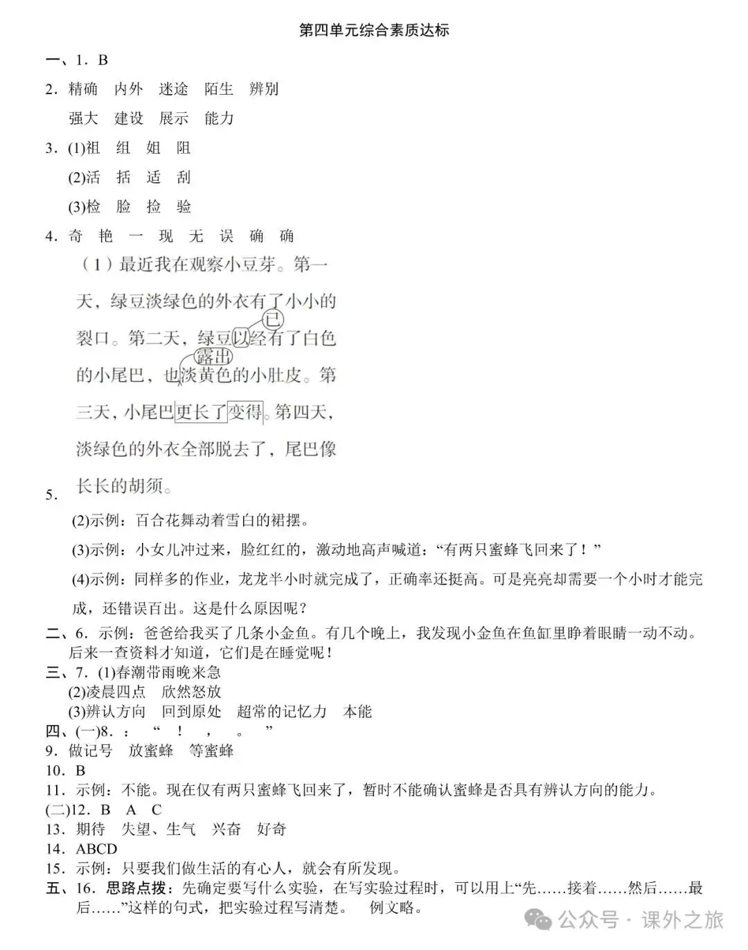 统编版语文三年级下册第四单元试卷多套(含答案)+知识点,可下载 第12张