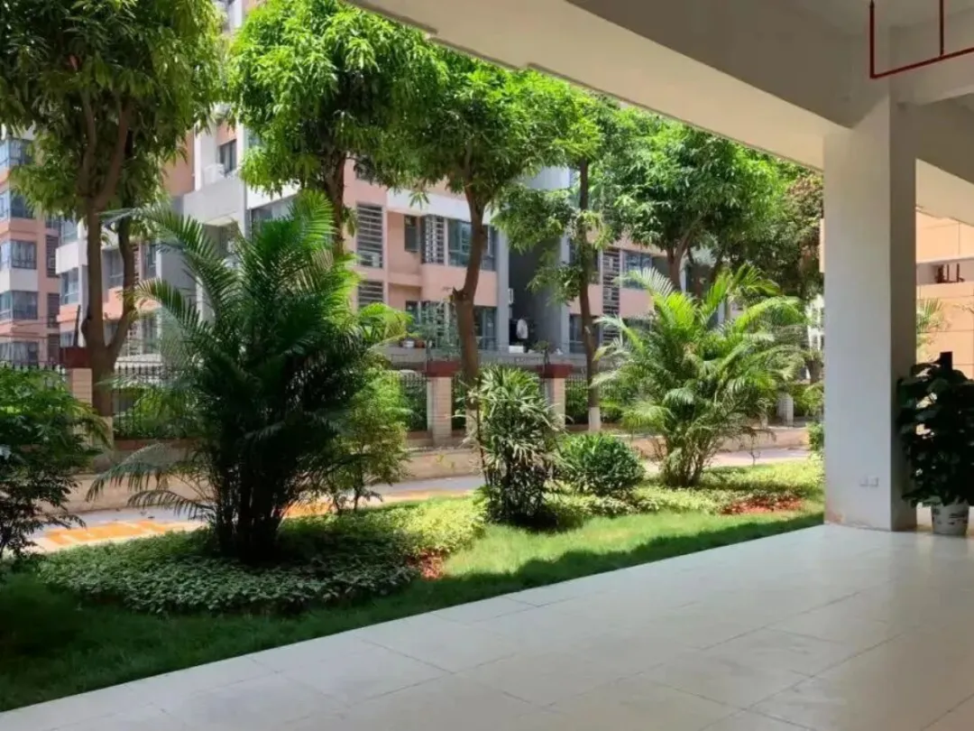广州中考志愿怎么填?先看看住宿条件!广州省市属高中住宿指南请收好 第46张