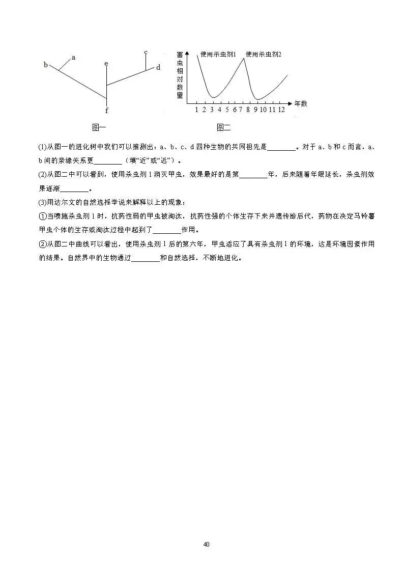 中考生物曲线图专项突破(答案版+填空版)-第11张图片-四季读书网 中考生物曲线图专项突破(答案版+填空版)-第11张图片-四季读书网