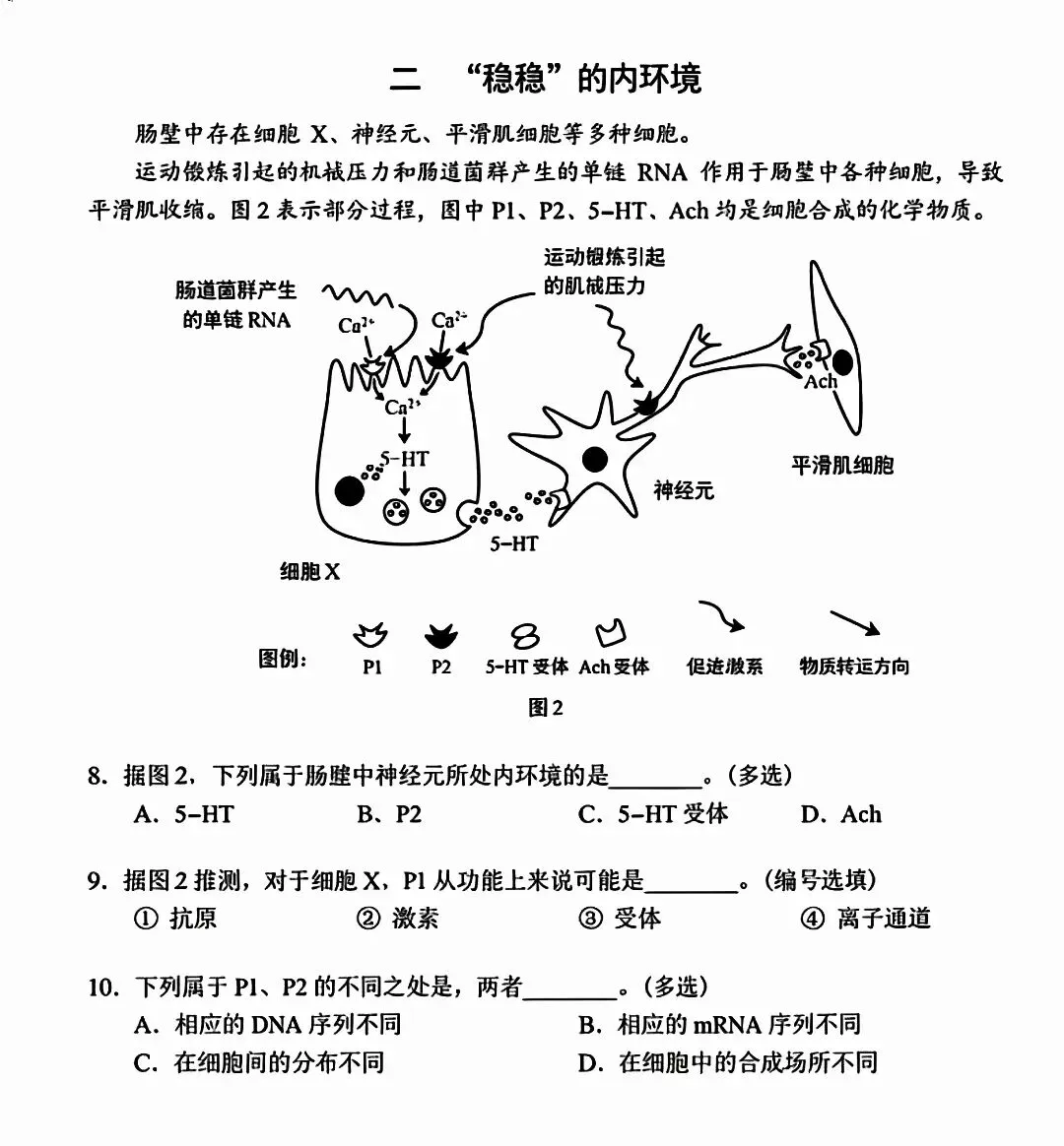 生物等级考2025真题卷分享-第3张图片-四季读书网