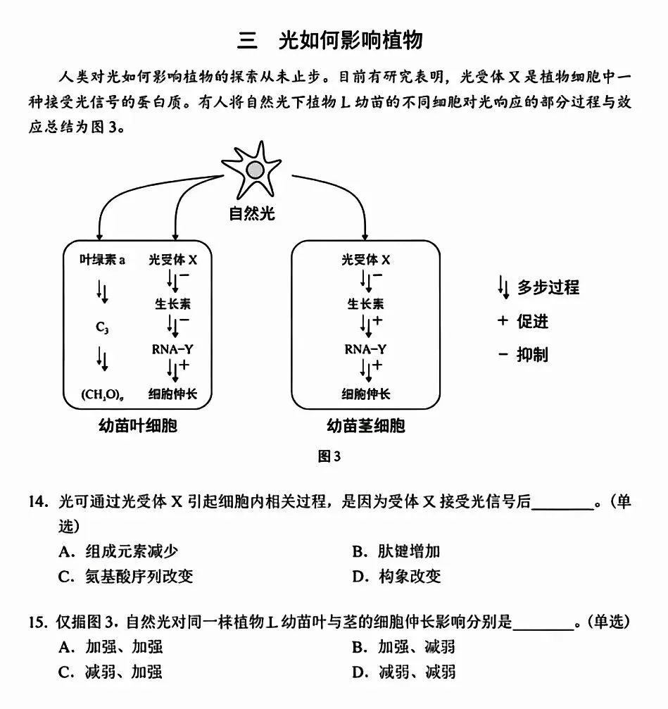 生物等级考2025真题卷分享-第5张图片-四季读书网