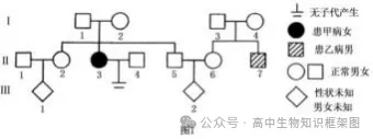 哈三中2026年高三学年第一次模拟考试生物学试题和答案 ⊙ 第14张