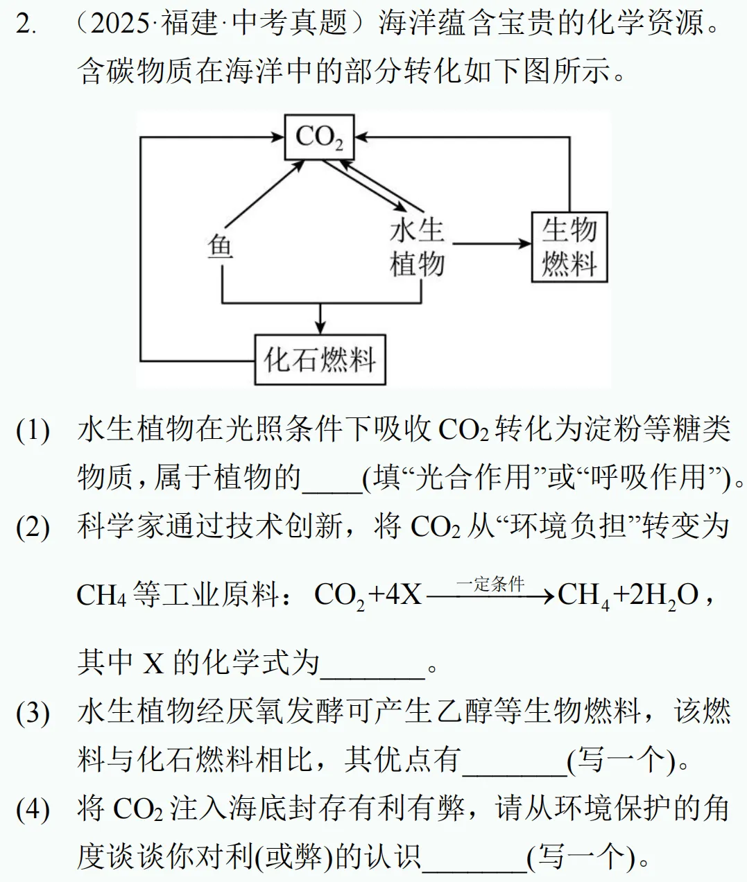 中考新题型练习18 第9张 中考新题型练习18 第9张