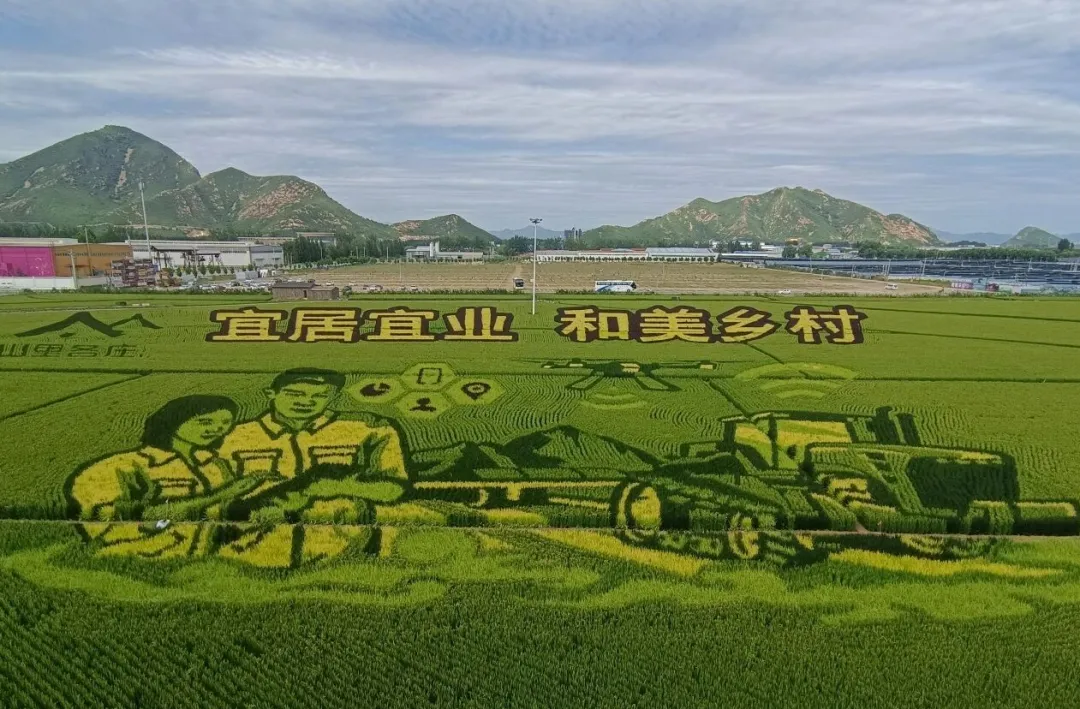2026年辽宁名校联盟高三调研地理试卷2 第8张