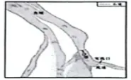 中考观点论述/阐释题专练 第17张 中考观点论述/阐释题专练 第17张